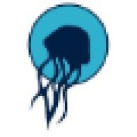 Jellyfish Art