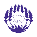 Jersey Lavender