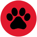 K-9 Kraving Dog Food