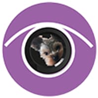 Keepdogeye