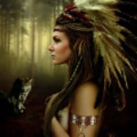 Les plumes d'Amazone