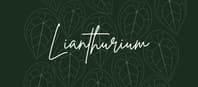 Lianthurium
