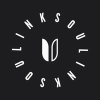 LinkSoul
