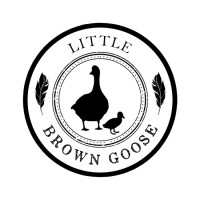 Little Brown Goose