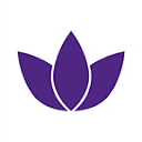 Lotus Shoes
