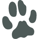 Lynx Promocions Sl