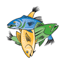 Mac's Seafood