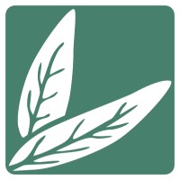 Majestic Mountain Sage