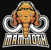 Mammothcompetitions