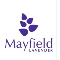 Mayfield Lavender