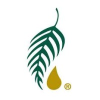 Melaleuca