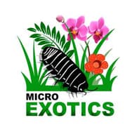 Microexotics