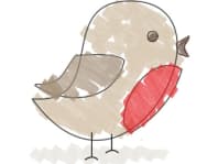 Mini Robin