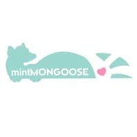 Mintmongoose Jewelry Subscription