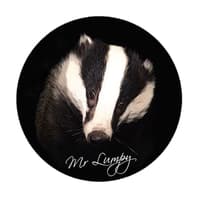 Mr Lumpy & Friends