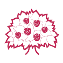 Mulberry Bush