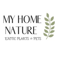 My Home Nature - 森流