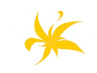 Nasso Design