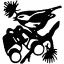 Natures Workshop Plus Inc