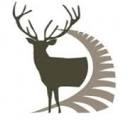 New Zealand Safaris