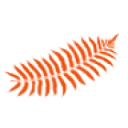 Newzealandtrends