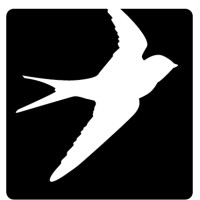 Oiselle
