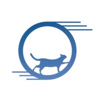 One Fast Cat