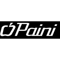 Paini
