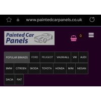 Paintedcarpanels