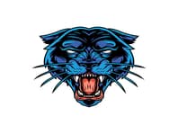 Panther Patches
