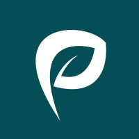 Pardasa