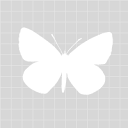 Patternsforpirates