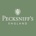 Pecksniff's Shop