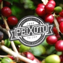 Peixoto
