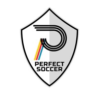 Perfect Soccer