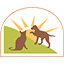 Perk Valley Pet Eatery