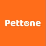 Pettone