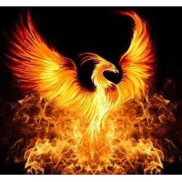 Phoenixx Rising