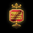 Pinnacle Cleaners