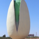 Pistachio Tree Ranch Country