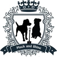 Pluck and Shine