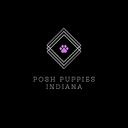 Posh Puppies Indiana