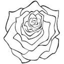 Primrose Jewellery