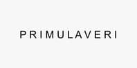 Primulaveri