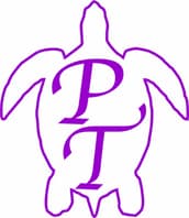 Purple Turtle Gifts