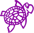 Purpleturtle