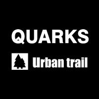 Quarks Shoes