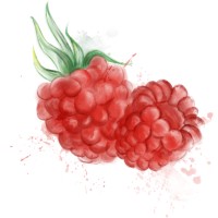 Raspberry Creek Fabrics