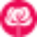 Real Rose Gift