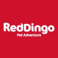 Red Dingo